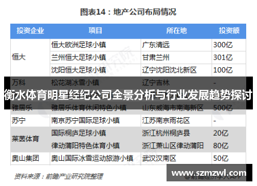 衡水体育明星经纪公司全景分析与行业发展趋势探讨